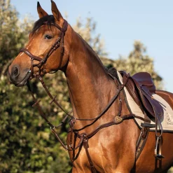 Acavallo Five-Point Breastplate Calfskin
