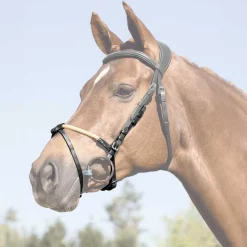 Acavallo Rope Flash Noseband