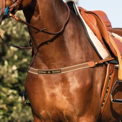 Acavallo Single Breastplate Elastic Band