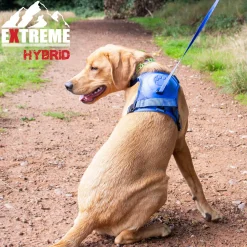 Ancol Extreme Hybrid Harness