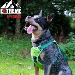 Ancol Extreme Hybrid Harness