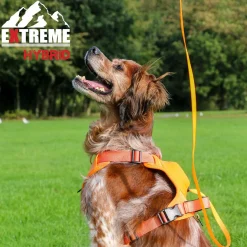 Ancol Extreme Hybrid Harness