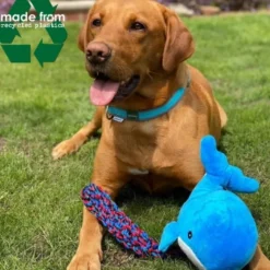 Ancol Made From Recycled Cuddler Dog Toy