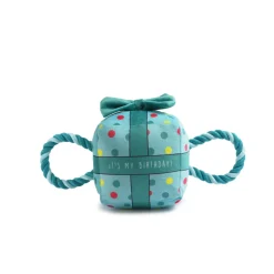 Ancol Pawty Time Birthday Present Dog Toy