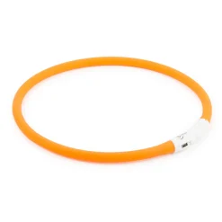 Ancol USB Flashing Band