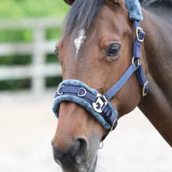 Arma Fleece Lined Lunge Cavesson