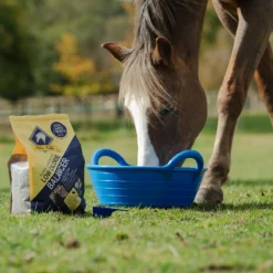 Blue Chip Super Concentrated Low Calorie Balancer