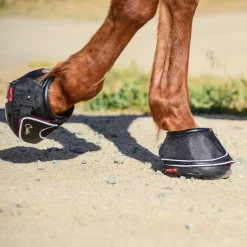 Cavallo Sport Boot Regular With FOC Hoof Pick & Brush