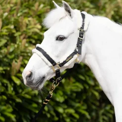 Coldstream Langlee Luxury Head Collar & Lead Rope