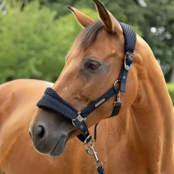 Coldstream Middleton Air Flow Head Collar & Lead Rope