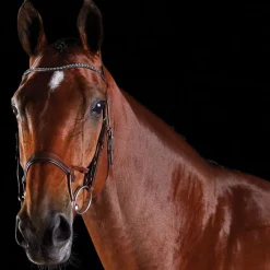 Collegiate ComFiTec Crystal Bridle