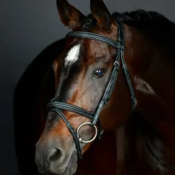 Collegiate Comfitec Opulux Fancy Stitch Padded Hanoverian Bridle