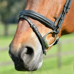 Collegiate Comfitec Opulux Plain Padded Hanoverian Flash Bridle