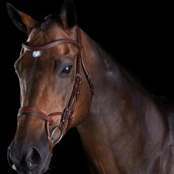 Collegiate ComFiTec Training Bridle