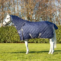 DefenceX Shield 200g Stable Rug with Detachable Neck