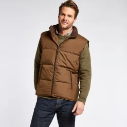Dubarry Mens Graystown Down Gilet