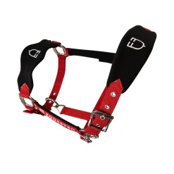 Equestro Halter With Double Adjustment And Lead Rope