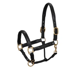 Equestro Soft Leather Halter With Durable Buckles