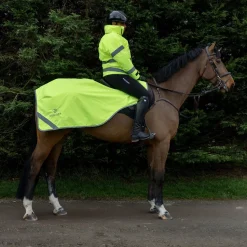 EQUIDRY Exercise Sheet Lite