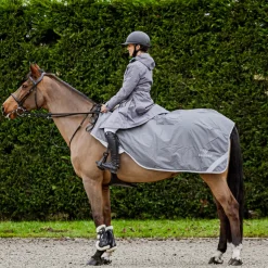 EQUIDRY Exercise Sheet Thick