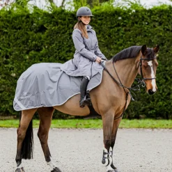 EQUIDRY Exercise Sheet Thick