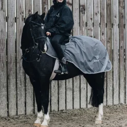 EQUIDRY Exercise Sheet Thick