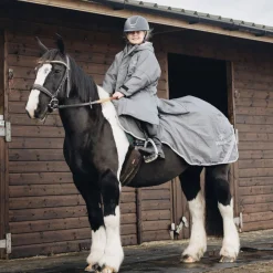 EQUIDRY Exercise Sheet Thick