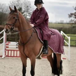 EQUIDRY Exercise Sheet Thick
