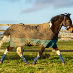 Equilibrium Equi-Chaps Hardy Chaps