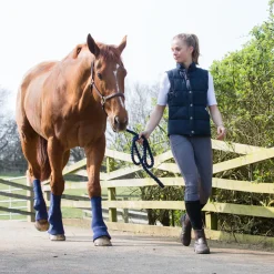 Equilibrium Equi-Chaps Hardy Chaps