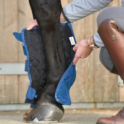 Equilibrium Equi Chaps Stable Chaps
