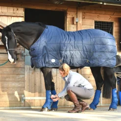 Equilibrium Equi Chaps Stable Chaps