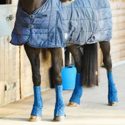 Equilibrium Equi Chaps Stable Chaps