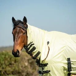 Equilibrium Field Relief Fly Rug