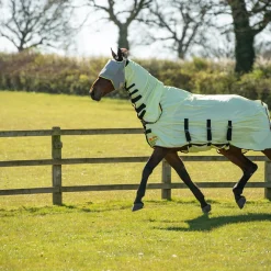 Equilibrium Field Relief Fly Rug