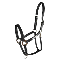 Equilibrium Stellar All-Weather Safety Headcollar