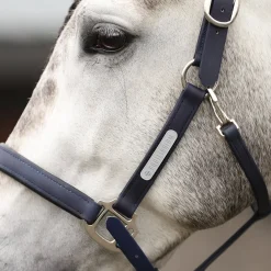 Equilibrium Stellar All-Weather Safety Headcollar