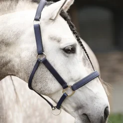 Equilibrium Stellar All-Weather Safety Headcollar