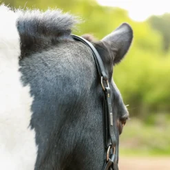 Equilibrium Stellar All-Weather Safety Headcollar