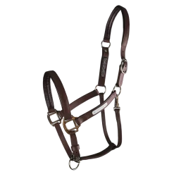 Equilibrium Stellar All-Weather Safety Headcollar
