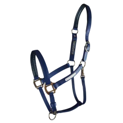 Equilibrium Stellar All-Weather Safety Headcollar