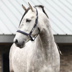 Equilibrium Stellar All-Weather Safety Headcollar