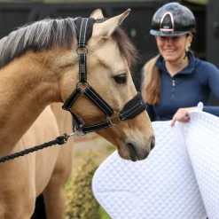 Equilibrium Stellar Style Headcollar