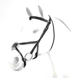 Equipe Emporio Figure 8 Padded Bridle with Silver Fittings - No Reins