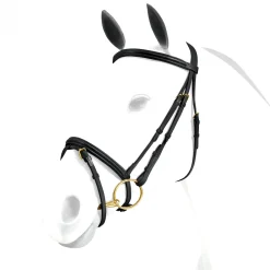 Equipe Emporio Flash Bridle with Brass Fittings - No Reins