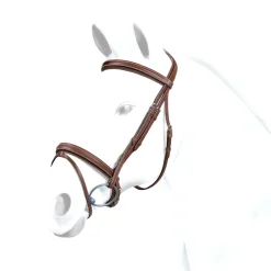 Equipe Patent Detail Flash Bridle