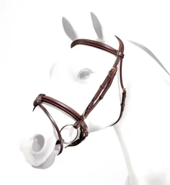 Equipe Rolled Browband Brass Fittings Flash Bridle