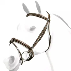 Equipe Rolled Browband Flash Bridle with Silver Fittings