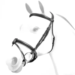 Equipe Rolled Browband Flash Bridle with Silver Fittings