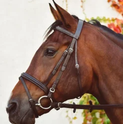 Equi-Sential Bridle with Reins